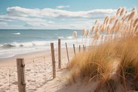 product-compare-59352422