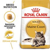royal canin maine coon adult 4kg