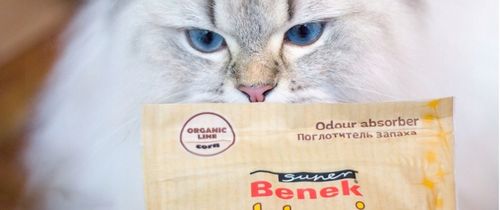 Super Benek Standard Naturalny 10L Active na Arena.pl