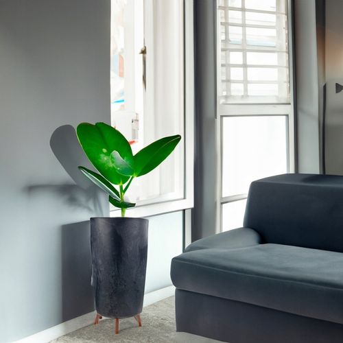 DONICA DONICZKA WYSOKA Z NÓŻKAMI BETON ANTRACYT na Arena.pl