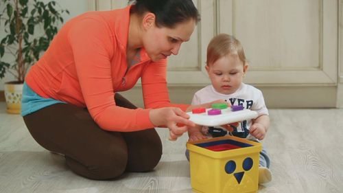 ND19_KA10498-PG Sorter Piramidka - Sowa na Arena.pl