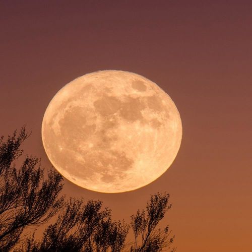 Deco Panel, Duży księżyc 60x40 na Arena.pl