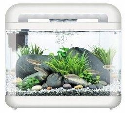 INVITAL EasyTank CASCADE LED 7 litrów biały na Arena.pl