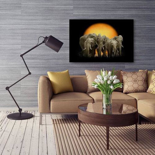 Obraz na płótnie - Canvas, Słonie 1 80x60 na Arena.pl