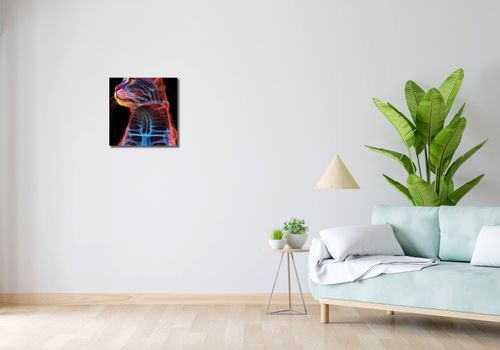 Obraz 40x40cm Anatomia Kota na Arena.pl