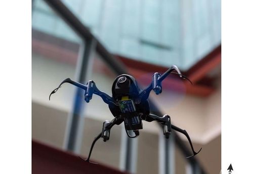 Blade Nano QX FPV 2 BNF na Arena.pl