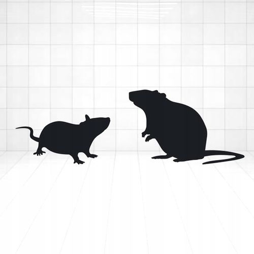 Silna Trutka Na Myszy Szczury 3kg Ziarno Trucizna na Szczury Myszy na Arena.pl