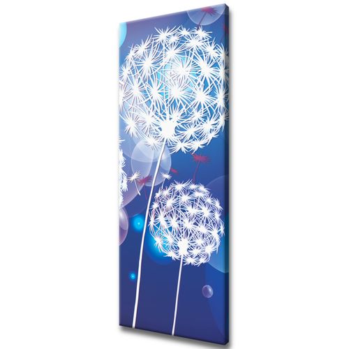 Obraz 40X100 Dmuchawce Abstrakcja Tle na Arena.pl