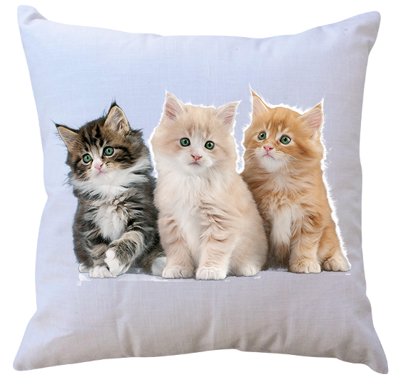 Poduszka Koty zdjęcie 1