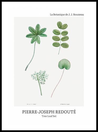 Plakat 50x70cm Design Tree Leaf Set, Redoute Vintage do Salonu na Arena.pl
