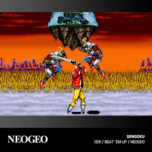 Gra Evercade NEOGEO Arcade 1 na Arena.pl