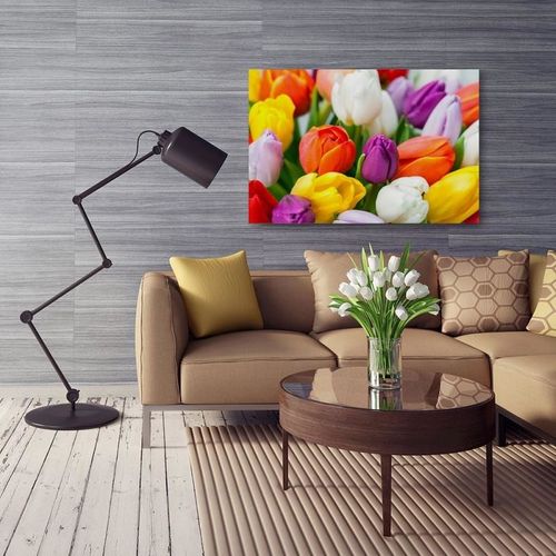Obraz na płótnie - Canvas, Kolorowe tulipany 50x40 na Arena.pl