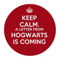 Przypinka Harry Potter