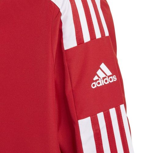 Bluza adidas Squadra 21 Presentation Jacket Jr GP6439 128cm na Arena.pl