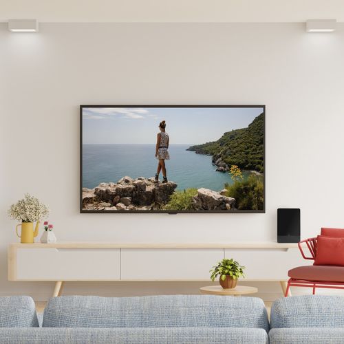 Antena pokojowa HAMA DVB-T2 PRO50 FL-2 na Arena.pl