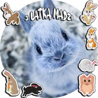 OPŁATEK NA TORT 30CM - KRÓLIKI KRÓLIK + IMIĘ + GRATIS! 24CM 26CM