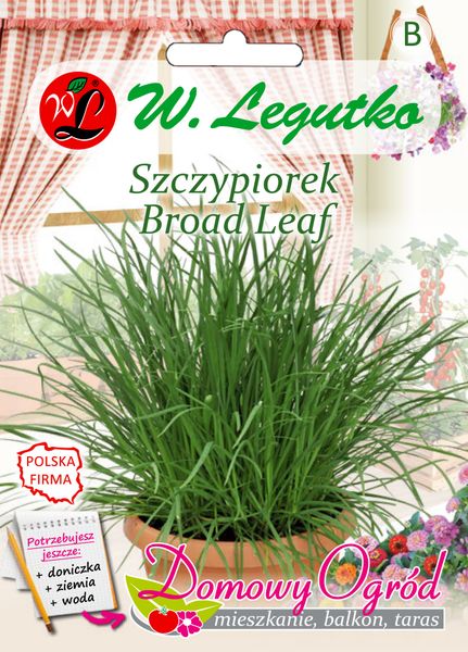Nasiona Szczypiorek Broad Leaf, 2g zdjęcie 1