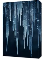 Obraz 40x60cm Zimowy Szept