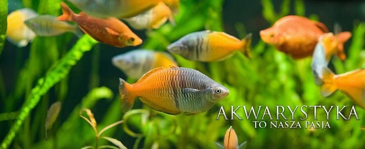 4x1000ml MIKRO, MAKRO, CARBO, POTAS zdjęcie 6