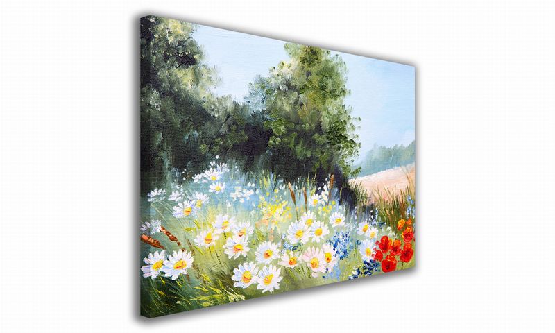 OBRAZ NA PŁÓTNIE 083 Polana 60x40cm zdjęcie 1