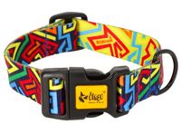 Wytrzymała obroża dla psa z regulacją 23-34cm - Dingo City Graffiti 2cm