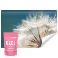 Fototapeta Do Salonu Sypialni Dmuchawce Kwiaty Natura 3D 400cm x 280cm