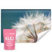 Fototapeta Do Salonu Sypialni Dmuchawce Kwiaty Natura 3D 405cm x 270cm