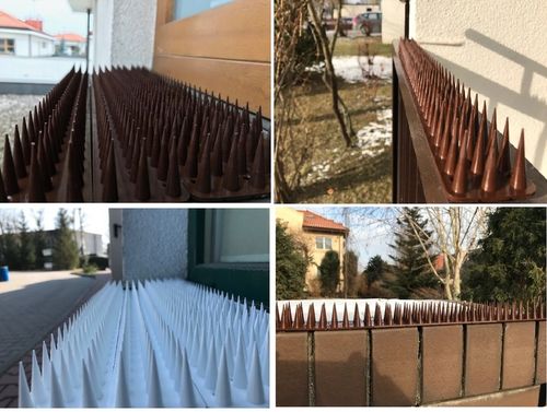 WYSOKIE KOLCE NA PTAKI GOŁĘBIE KUN KOLORÓW 10 SZT 5 METRÓW KOLOR na Arena.pl