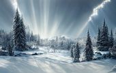 Fototapeta Krajobraz Z Zimowymi Choinkami Flizelina Zmywalna 180x120