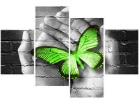 OBRAZ GREEN BUTTERFLY MOTYL DŁOŃ CEGŁA