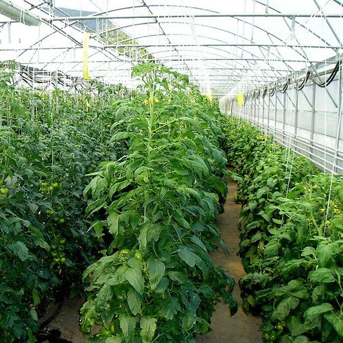 Sznurek polipropylenowy 65 m/50 g na Arena.pl