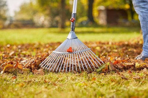 grabie wachlarzowe regulowane gs - hg-03103-20 na Arena.pl