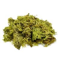 SZTUCZNY MECH CHROBOTEK DEKORACYJNY MECH RENIFEROWY DO STROIKÓW ZIELONY 50g