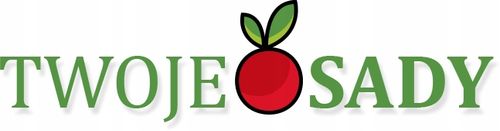 ORZECH WŁOSKI JACEK OGROMNE owoce 2 LETNI DUŻA SADZONKA na Arena.pl