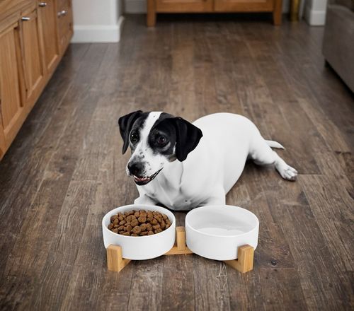 Ceramiczne miski dla psa 400ml 2x JAX białe na Arena.pl