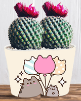 Doniczka do kwiatów/roślin - Pusheen - Kotek