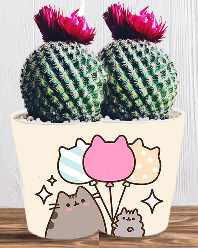 Doniczka do kwiatów/roślin - Pusheen - Kotek na Arena.pl