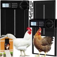 AUTOMATYCZNE DRZWI DO KURNIKA OTWIERANIE DRZWI Z TIMEREM METALOWE SOLIDNE