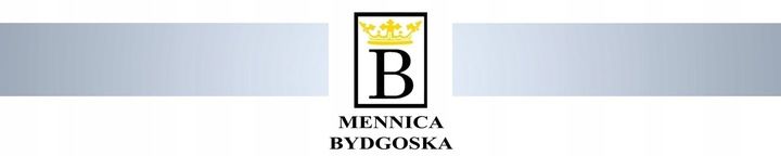Srebrna bransoletka modułowa charms srebro 925 srebrna bransoletka zdjęcie 6