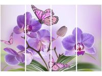 product-compare-58698616