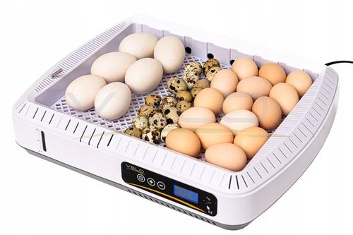 INKUBATOR AUTOMATYCZNY VELO na 35 JAJ do KURZYCH INDYCZYCH GĘSICH KACZYCH na Arena.pl