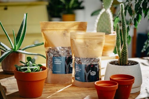 Ziemia do SUKULENTÓW i KAKTUSÓW 5L bigos, podłoże na Arena.pl