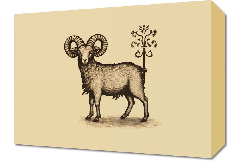 Obraz 40x30cm Natura i Heraldyka zdjęcie 1