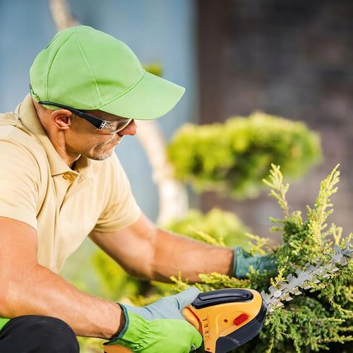 AKUMULATOROWE NOŻYCE TRAWY KRZEWÓW ŻYWOPŁOTU PRZENOŚNA RĘKOJEŚĆ MAŁE na Arena.pl