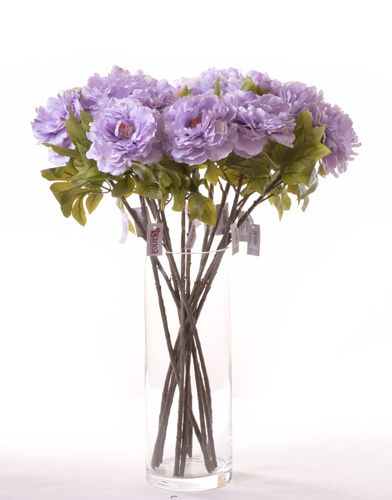 Peonia jasny fiolet na Arena.pl