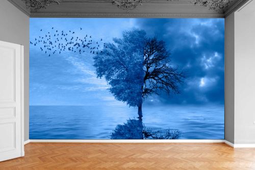 Fototapeta DRZEWO KONAR WIDOK NA MORZEM WODĄ NIEBO na Arena.pl