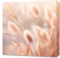 product-compare-59479188