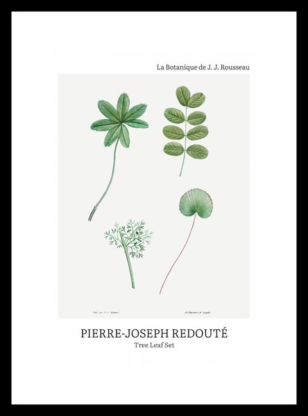 Plakat 20x30cm Design Tree Leaf Set, Redoute Vintage do Salonu zdjęcie 3