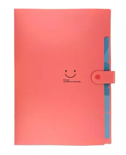 Teczka Plastikowa A4 Z 5 Przegródkami Czerwona na Arena.pl