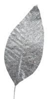 product-compare-64411281